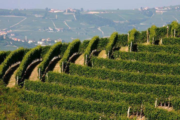 Agriturismo Cascina Rabalot Diano dʼAlba Exterior foto