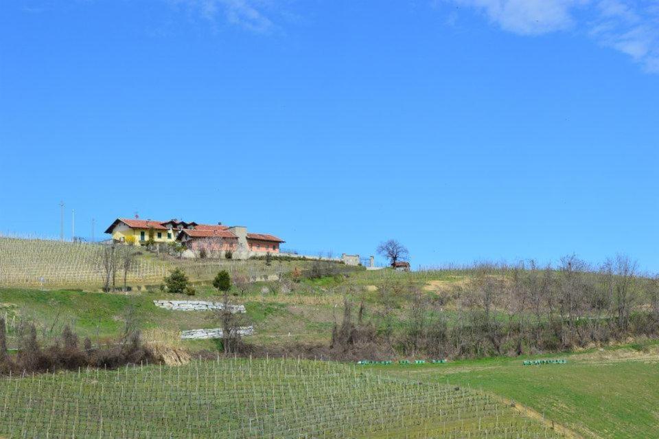 Agriturismo Cascina Rabalot Diano dʼAlba Exterior foto