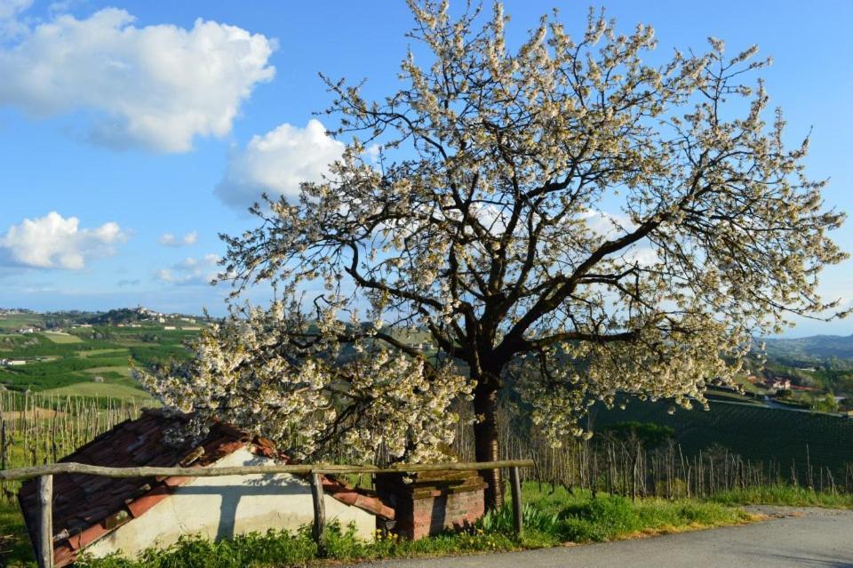 Agriturismo Cascina Rabalot Diano dʼAlba Exterior foto