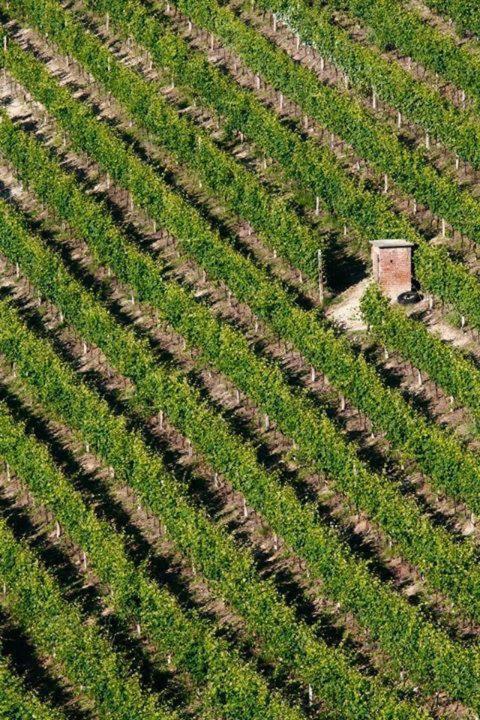 Agriturismo Cascina Rabalot Diano dʼAlba Exterior foto