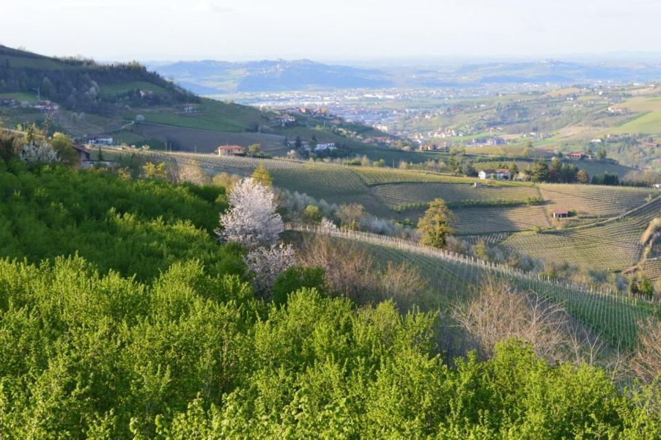 Agriturismo Cascina Rabalot Diano dʼAlba Exterior foto